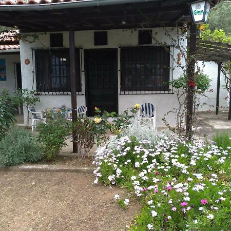 הוילה אפיסוס Persefoni House מראה חיצוני תמונה