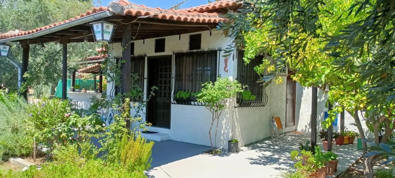 הוילה אפיסוס Persefoni House מראה חיצוני תמונה