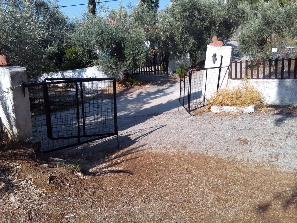 הוילה אפיסוס Persefoni House מראה חיצוני תמונה