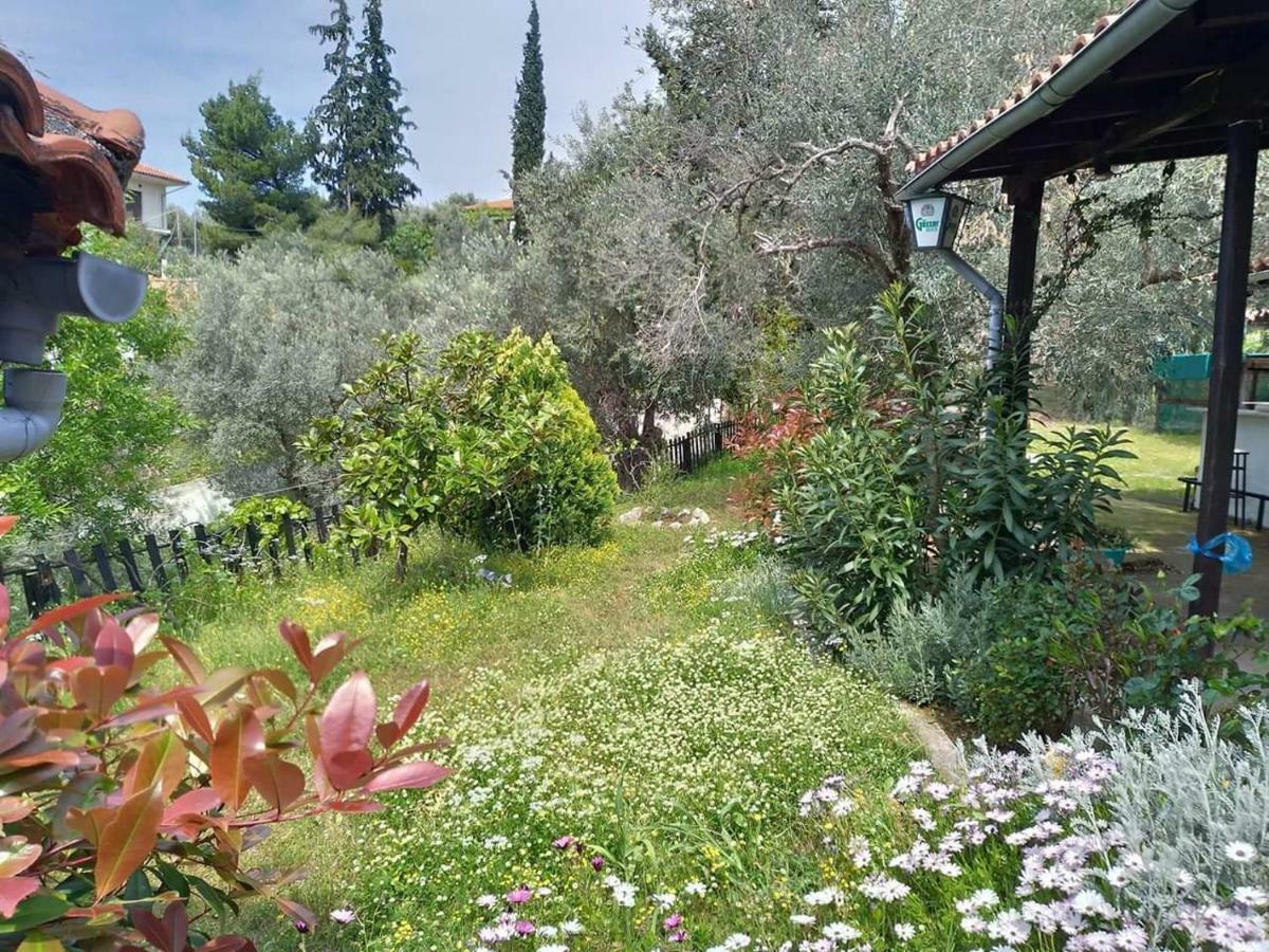 הוילה אפיסוס Persefoni House מראה חיצוני תמונה