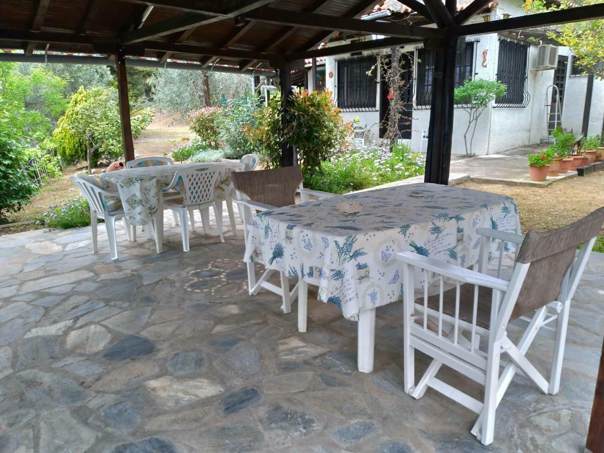 הוילה אפיסוס Persefoni House מראה חיצוני תמונה