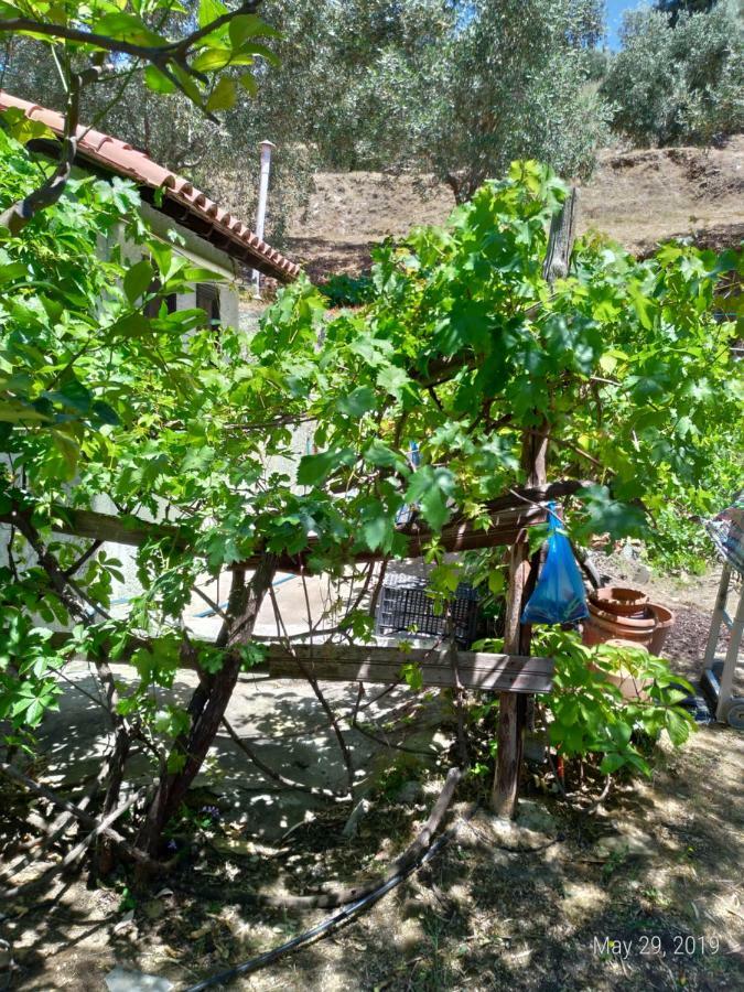 הוילה אפיסוס Persefoni House מראה חיצוני תמונה